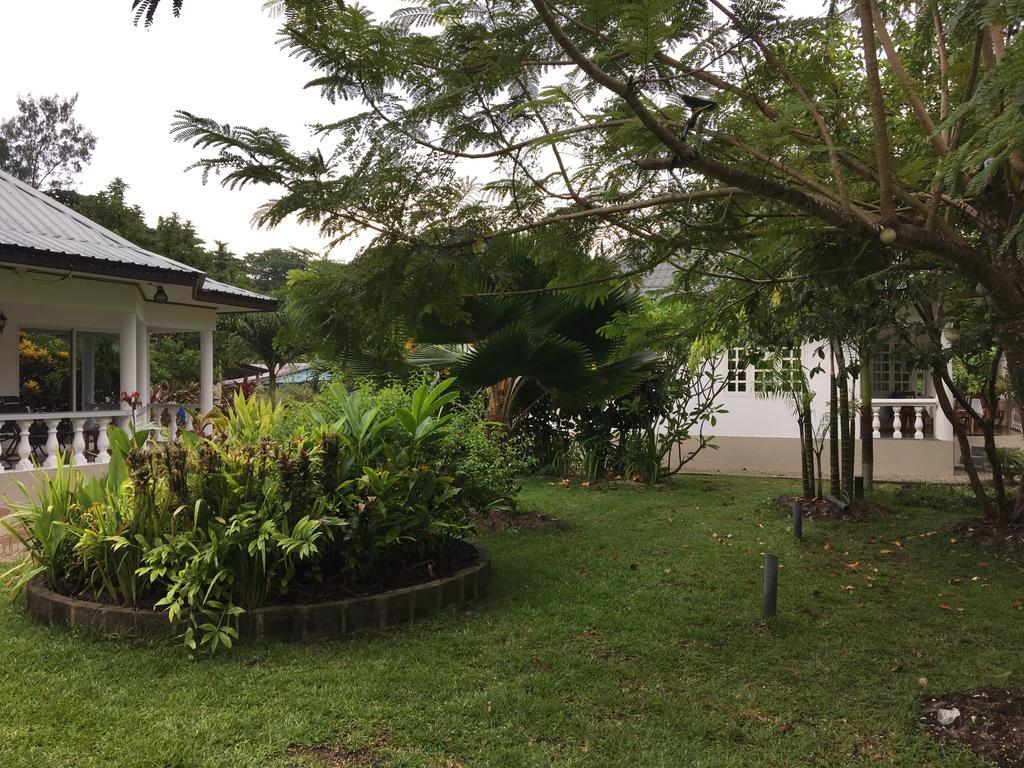 Skyblue Guesthouse - Self Catering باي سانت آن المظهر الخارجي الصورة